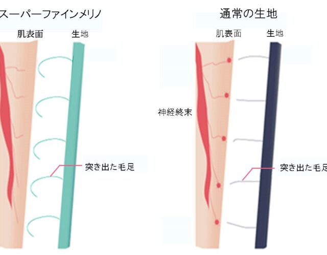 超極細のメリノウールは何故チクチクしないのか